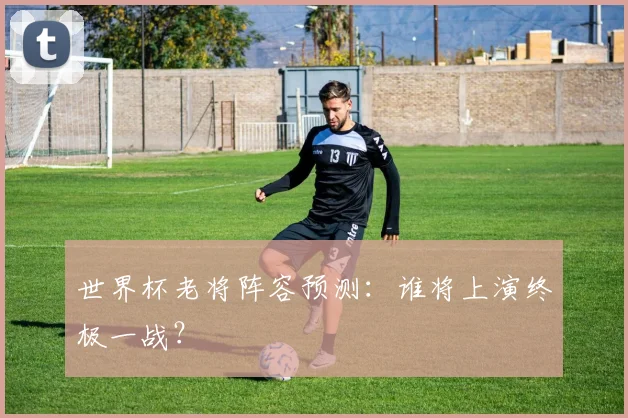 世界杯老将阵容预测：谁将上演终极一战？